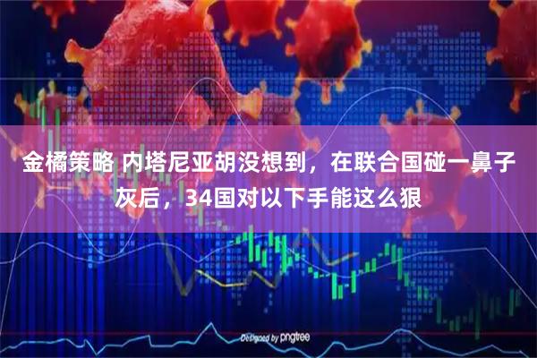金橘策略 内塔尼亚胡没想到,在联合国碰一鼻子灰后,34国对以下手能这么狠